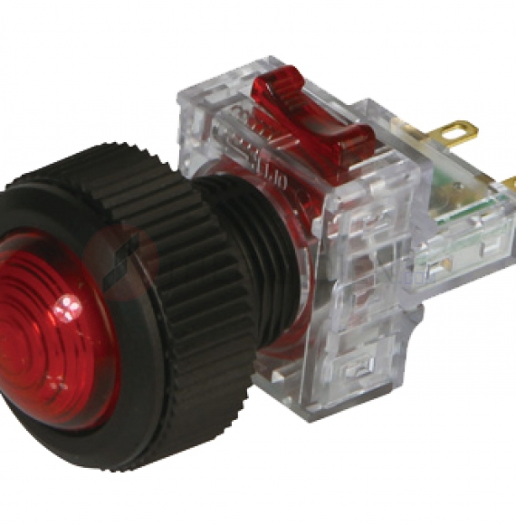 DRP-TD