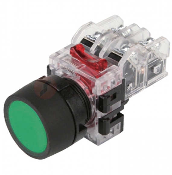 MRF-TM1