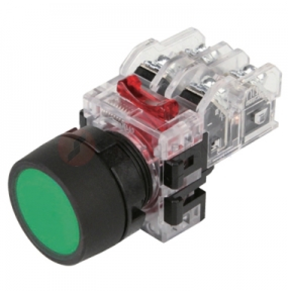 MRF-TM1